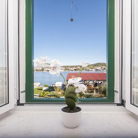 Dalmata Apartment
