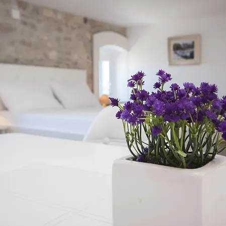 Dalmata Appartement *