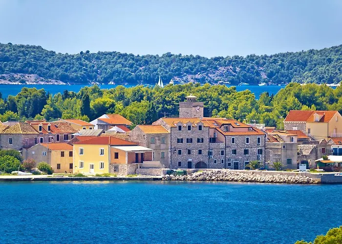 Dalmata * Isla Krapanj