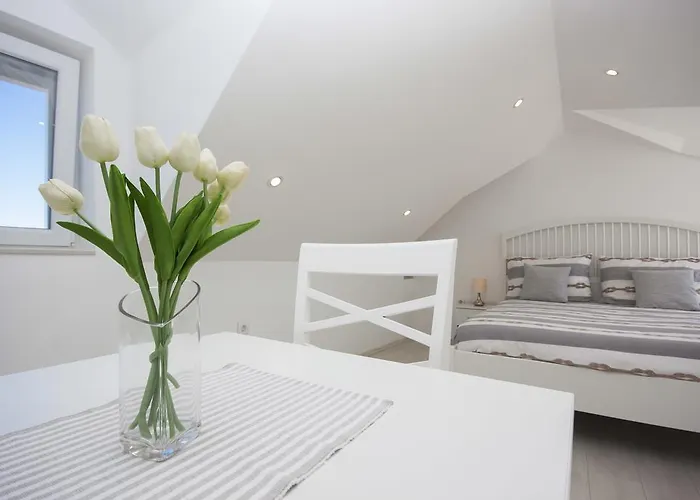 Dalmata Isla Krapanj