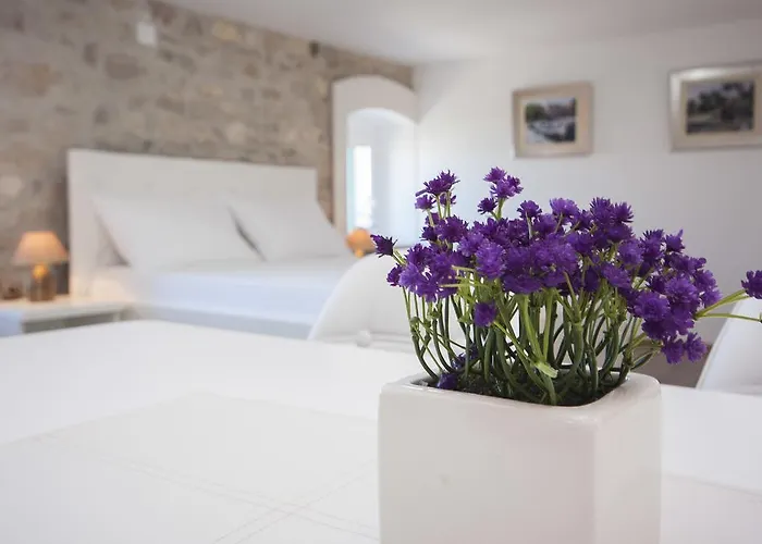 Dalmata Apartamento *